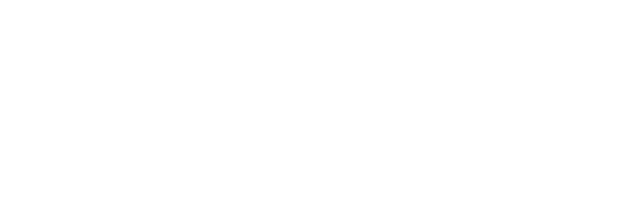 zlinai logo posi kopie